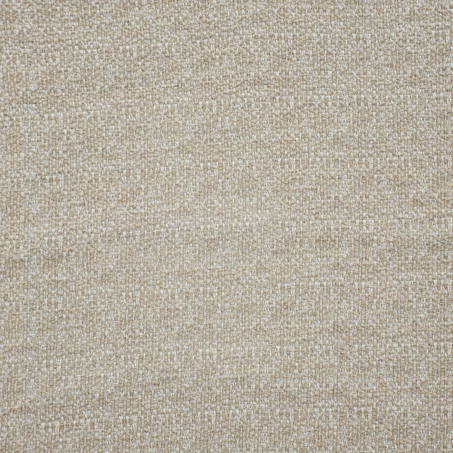 Eade’s # 542 ALPACA