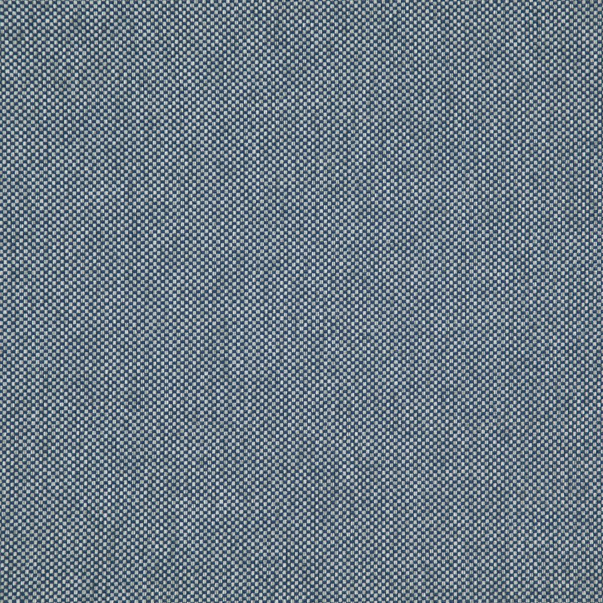 Eade’s # 202 DENIM