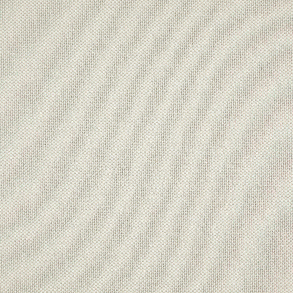 Eade’s # 218 ALMOND