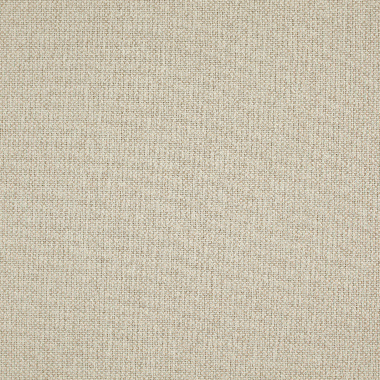 Eade’s # 219 NOUGAT