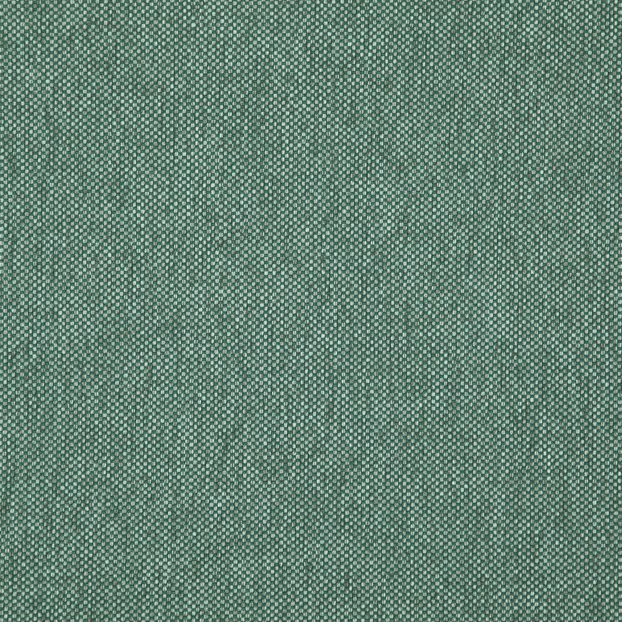 Eade’s # 225 SPRUCE