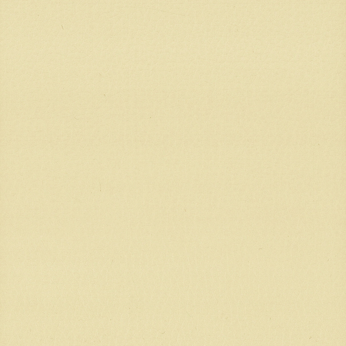 STOUT LODG-9 LODGE 9 CHAMOIS Fabric - Eades Wallpaper & Fabric