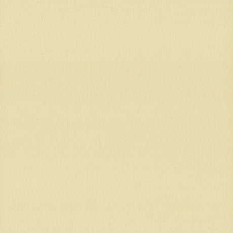 STOUT LODG-9 LODGE 9 CHAMOIS Fabric - Eades Wallpaper & Fabric
