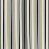 Inside Out 98-J8391 LONGITUDE Fabric