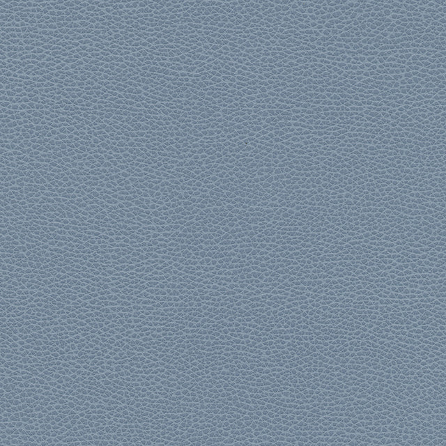 Eade’s # 1173 PERWINKLE