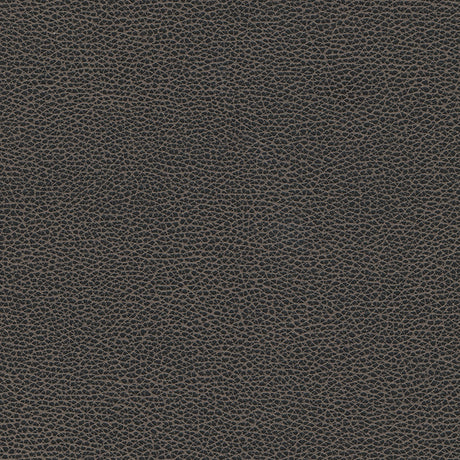 Eade’s # 1176 GRAPHITE