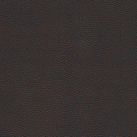 Eade’s # 1178 BLACK BEAN