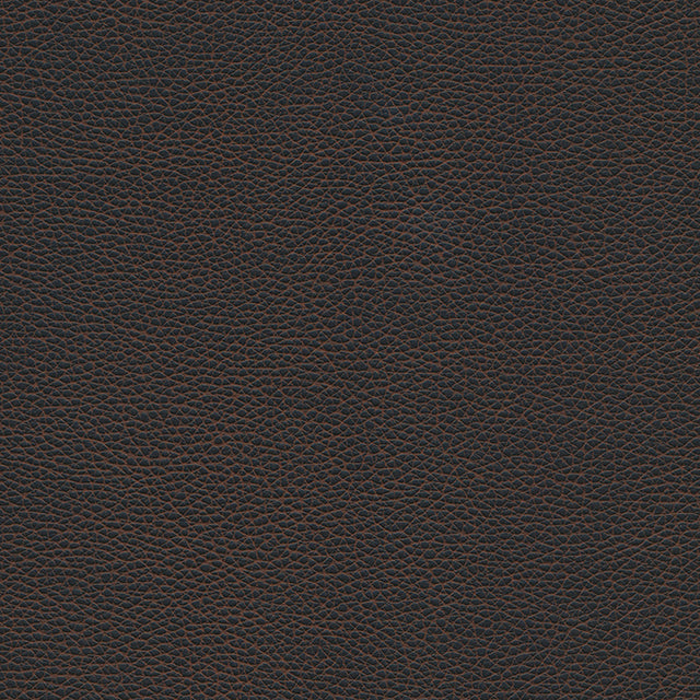 Eade’s # 1178 BLACK BEAN