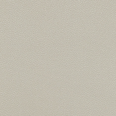 Eade’s # 1179 CLOUD