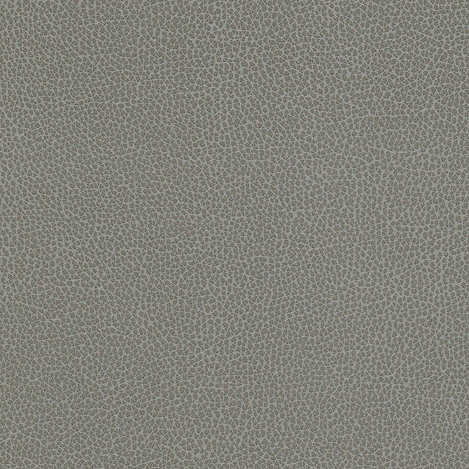 Eade’s # 1182 CIRRUS