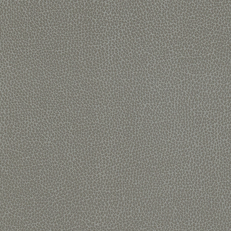 Eade’s # 1182 CIRRUS