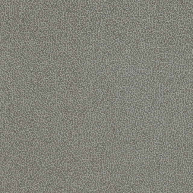 Eade’s # 1182 CIRRUS