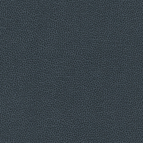 Eade’s # 1183 UNDERWATER