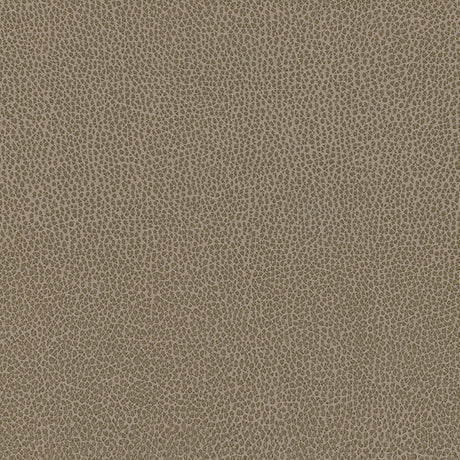 Eade’s # 1184 EARTH