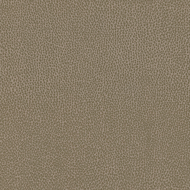 Eade’s # 1184 EARTH