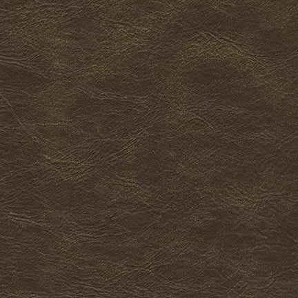 Eade’s # 256 COYOTE