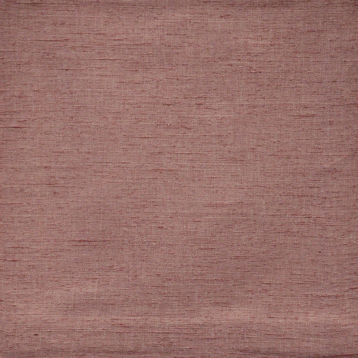 Eade’s # 721 PEONY