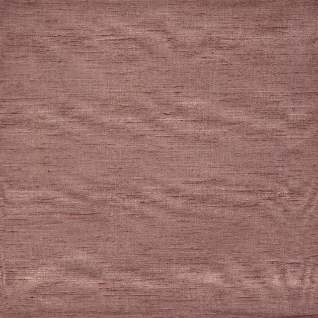 Eade’s # 721 PEONY