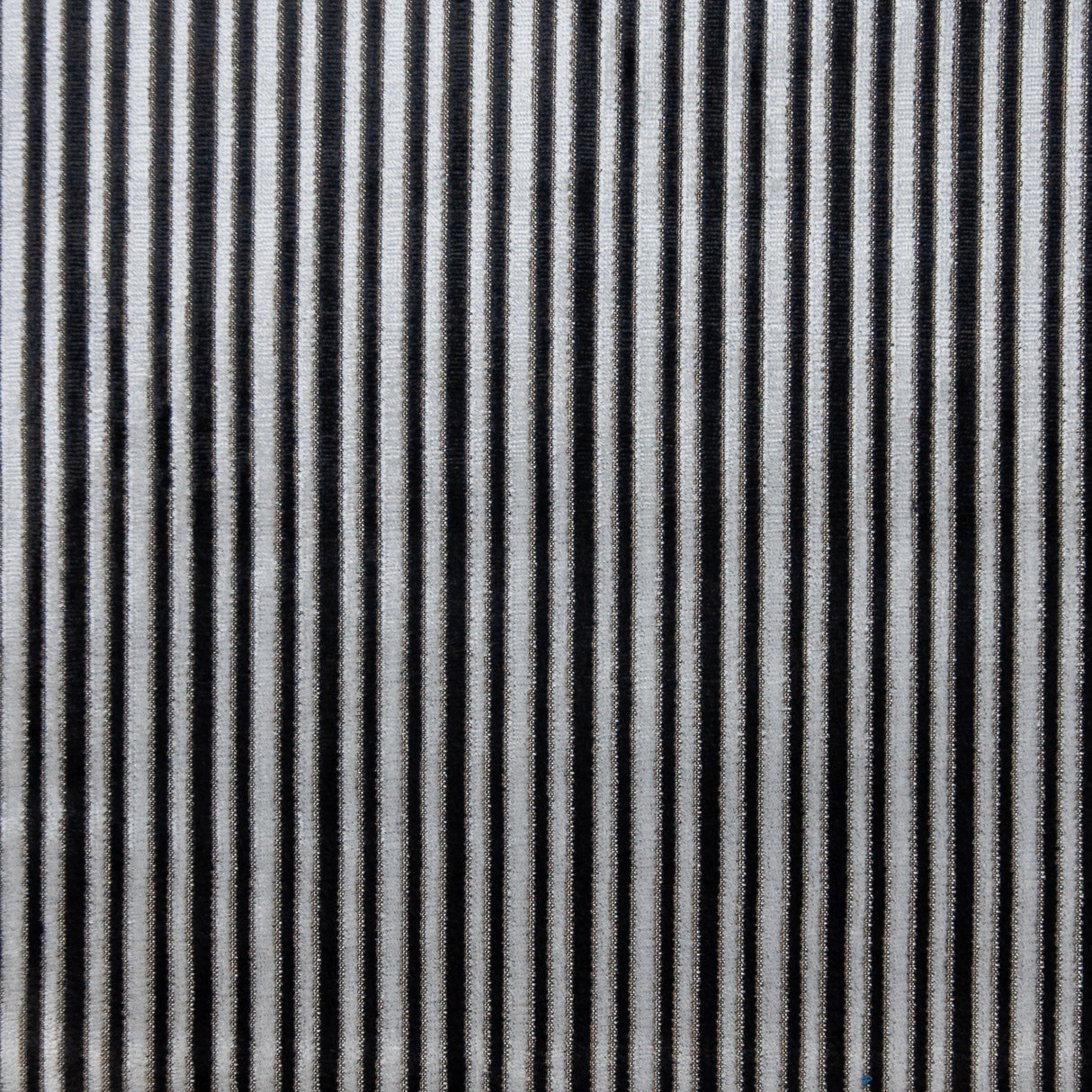 Eade’s # 617 ZEBRA