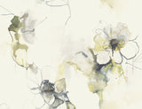 Seabrook Designs LW50007 Wallpaper - Eade's Wallpaper & Fabric