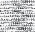 Seabrook Designs LW51800 Wallpaper - Eade's Wallpaper & Fabric