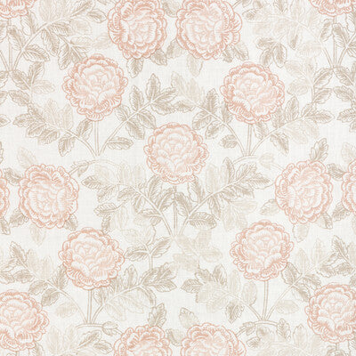 KRAVET COUTURE LYLA LYLA.716.0 in SHELL/SANDPIPER Fabric - D