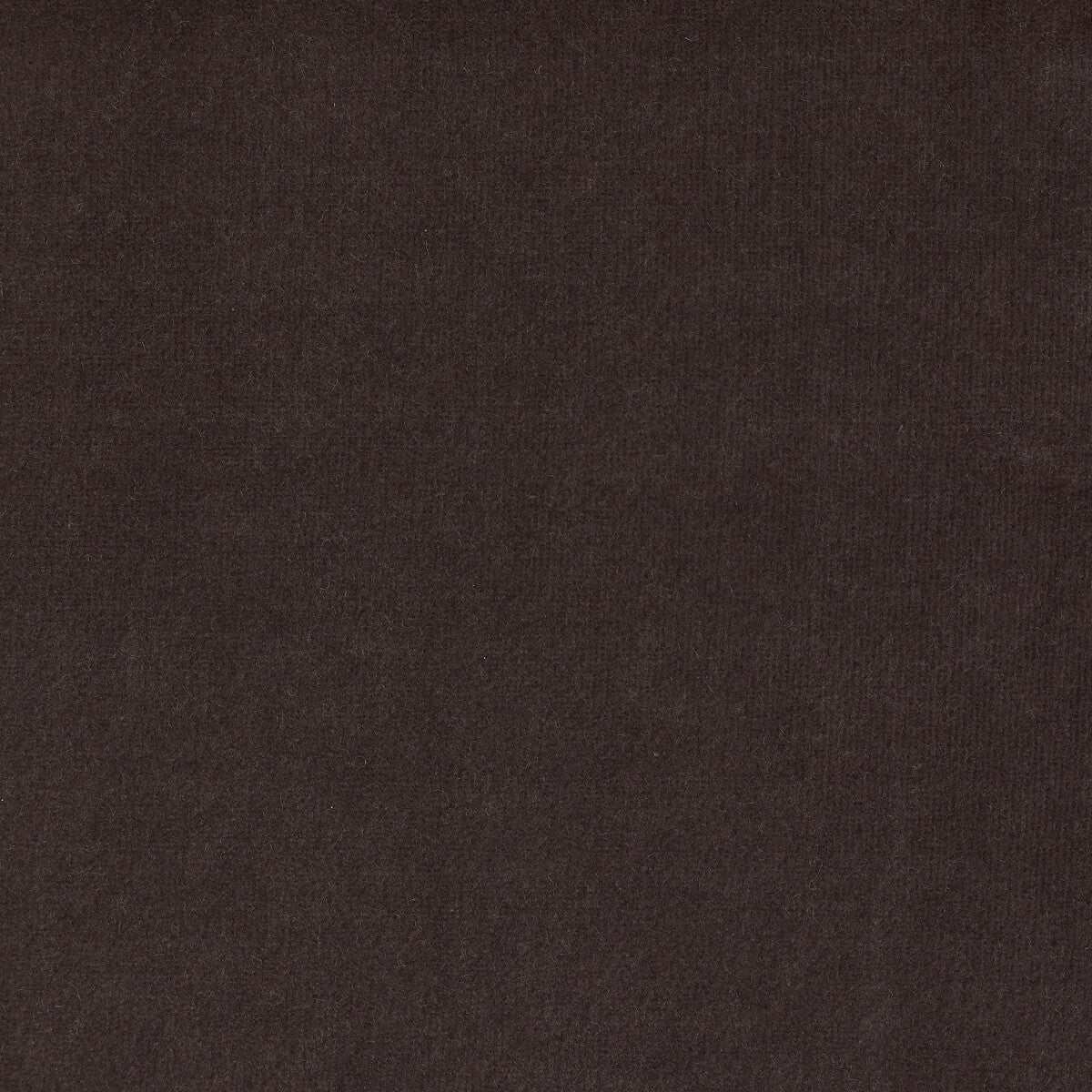 KRAVET DESIGN LZ-30219.01.0 ETERNAL 01 Fabric - Eade's Wallpaper