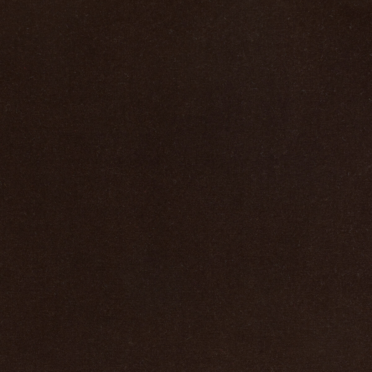 KRAVET DESIGN LZ-30219.11.0 ETERNAL 11 Fabric - Eade's Wallpaper