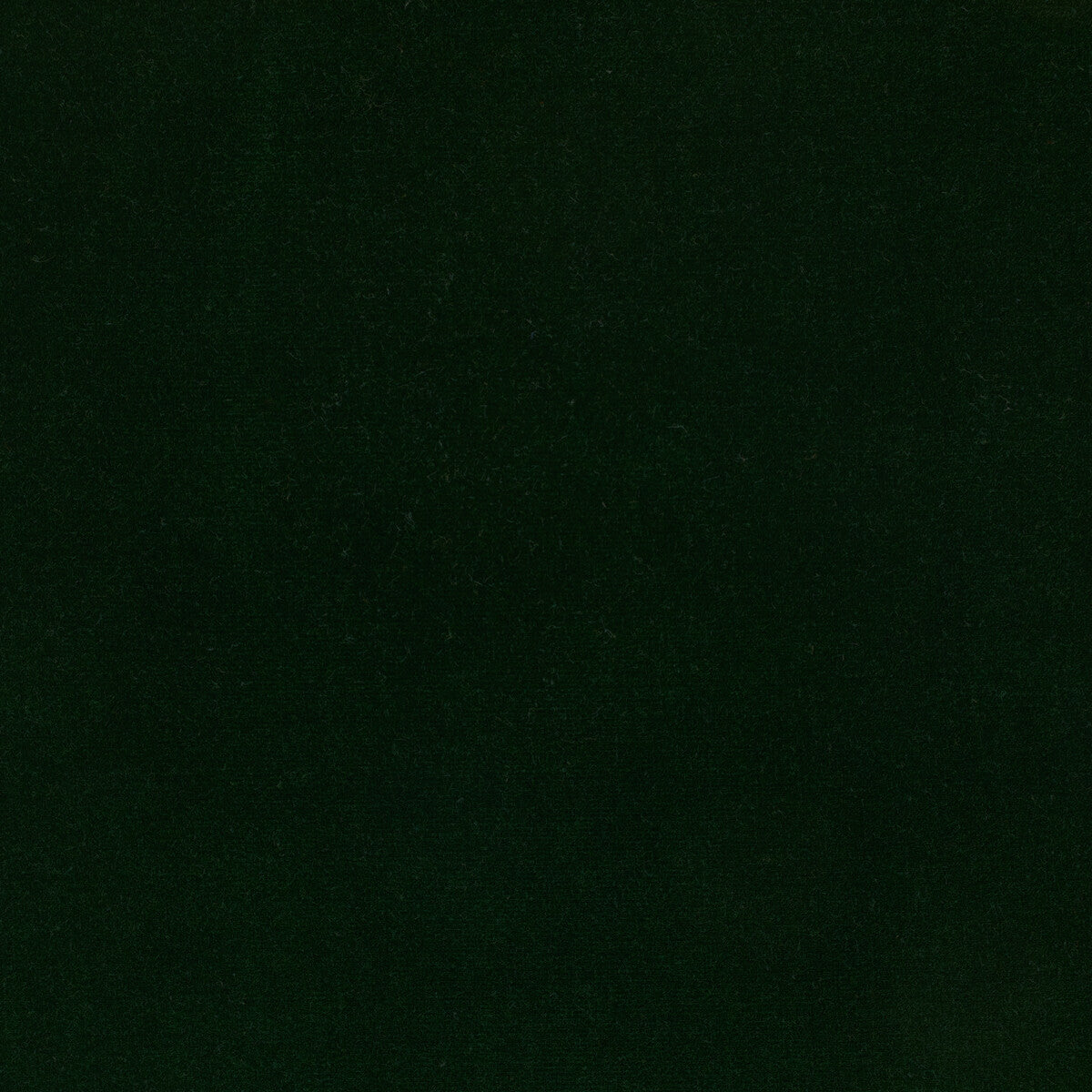 KRAVET DESIGN LZ-30219.23.0 ETERNAL 23 Fabric - Eade's Wallpaper