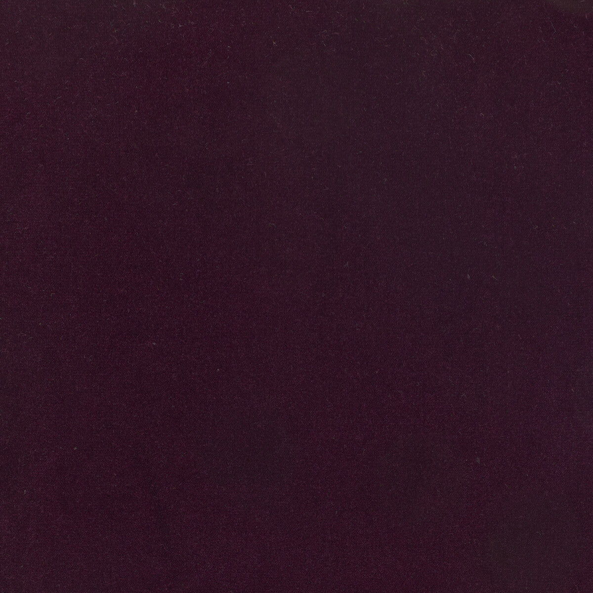 KRAVET DESIGN LZ-30219.32.0 ETERNAL 32 Fabric - Eade's Wallpaper