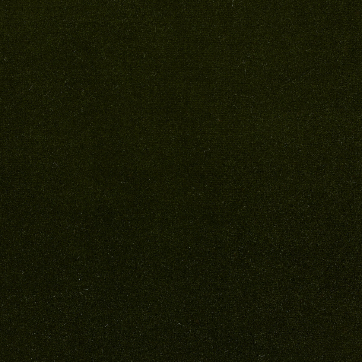 KRAVET DESIGN LZ-30219.33.0 ETERNAL 33 Fabric - Eade's Wallpaper