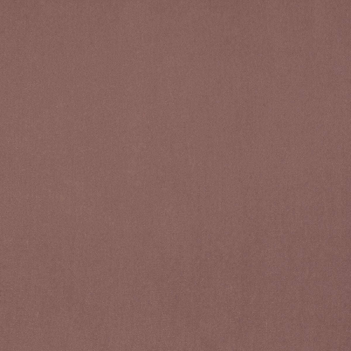 KRAVET DESIGN LZ-30229.12.0 GURU 12 Fabric - Eade's Wallpaper