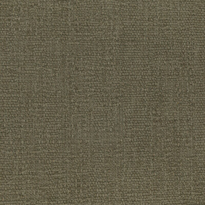 KRAVET COUTURE TABRIZ LZ-30439.01.0 in 1 Fabric - LIZZO TABR