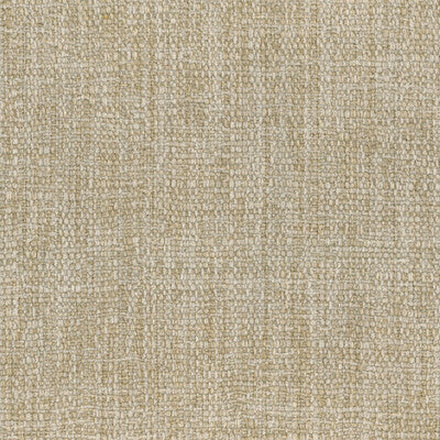 KRAVET COUTURE TABRIZ LZ-30439.06.0 in 6 Fabric - LIZZO TABR