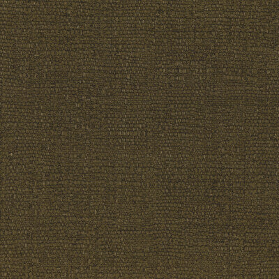 KRAVET COUTURE TABRIZ LZ-30439.11.0 in 11 Fabric - LIZZO TAB