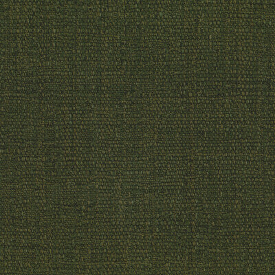 KRAVET COUTURE TABRIZ LZ-30439.13.0 in 13 Fabric - LIZZO TAB