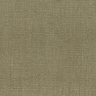 KRAVET COUTURE TABRIZ LZ-30439.16.0 in 16 Fabric - LIZZO TAB