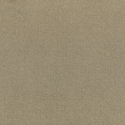 KRAVET COUTURE ELEPHAS LZ-30443.01.0 in 1 Fabric - LIZZO TER