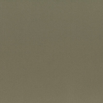 KRAVET COUTURE HIGHLAND LZ-30447.01.0 in 1 Fabric - LIZZO HI