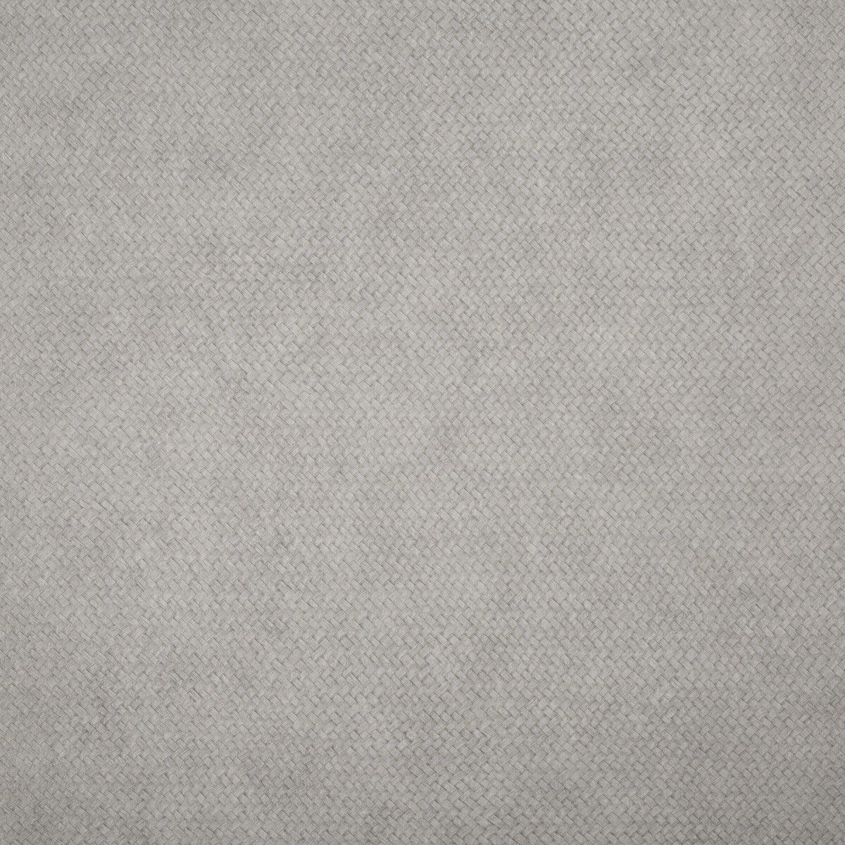 KRAVET DESIGN LZW-30181.21541.0 CESTO 21541 Wallpaper - Eade's Wallpaper