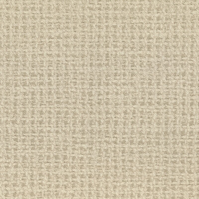 KRAVET DESIGN TAPPETO LZW-30199.06.0 in 6 Wallpaper - LIZZO 