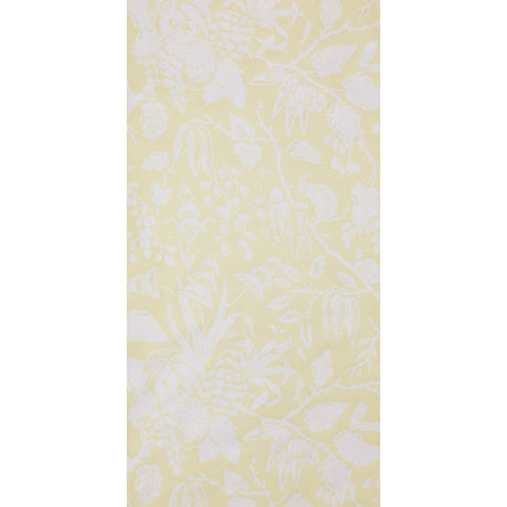 Schumacher M01249 PUCK in LIMON Wallpaper - RAOUL TEXTILES