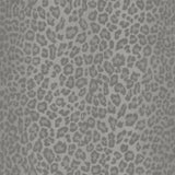 Fine Decor M1501 Glamorous Charcoal Fur Wallpaper