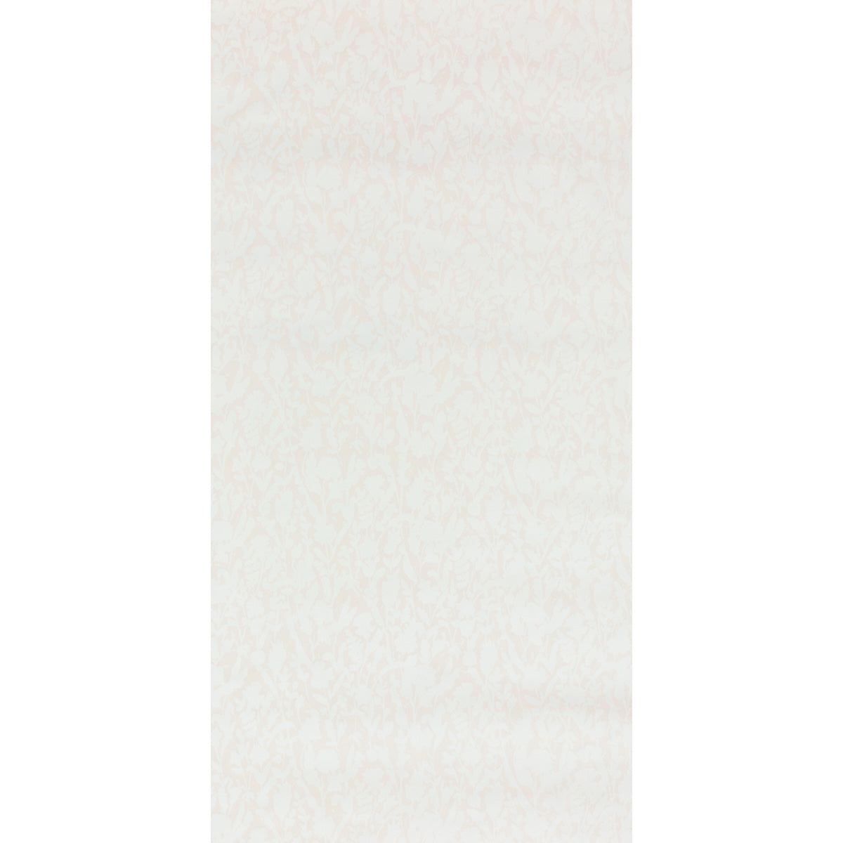 Schumacher M34363 GHOST OF MISS WILLMOTT in ROSE Wallpaper -