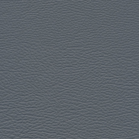 Eade’s # 956 NEPTUNE