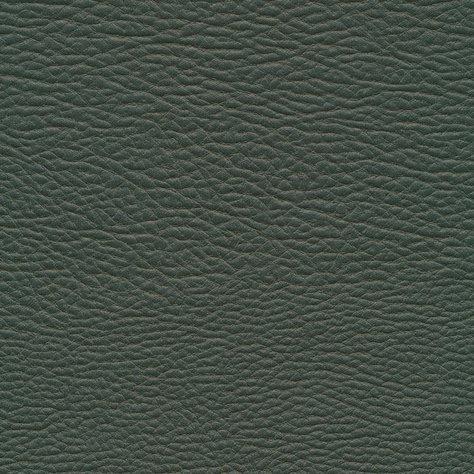 Eade’s # 964 EVERGREEN