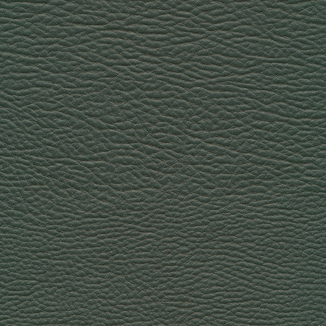 Eade’s # 964 EVERGREEN