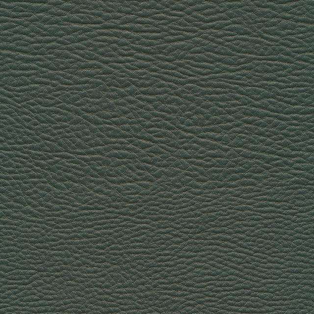 Eade’s # 964 EVERGREEN