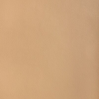 KRAVET DESIGN KRAVET DESIGN MAJOR.116.0 in MAJOR-116 Fabric 