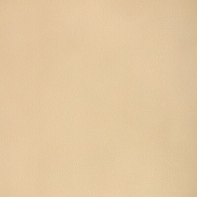 KRAVET DESIGN KRAVET DESIGN MAJOR.16.0 in MAJOR-16 Fabric - 